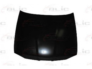 BLIC 6803-00-6608280Q gaubtas