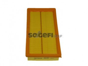 TECNOCAR A2031 oro filtras 
 Filtrai -> Oro filtras
46783544, 50515501, 51775340, 51806865