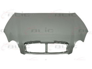 BLIC 6803-00-3168280P gaubtas 
 Kėbulas -> Transporto priemonės galas -> Gaubtas/dalys/garso izoliacinė medžiaga
664003D200