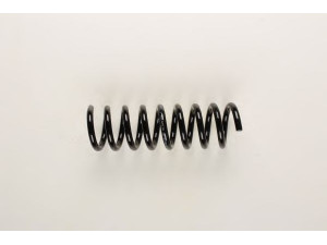 BILSTEIN 36-133673 spyruoklė 
 Pakaba -> Spyruoklės
208 324 0004, 210 324 31 04