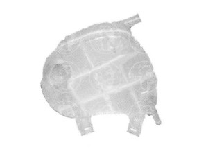 FARE SA 3593 vandens bakas, radiatorius 
 Aušinimo sistema -> Radiatorius/alyvos aušintuvas -> Radiatorius/dalys
6025371703