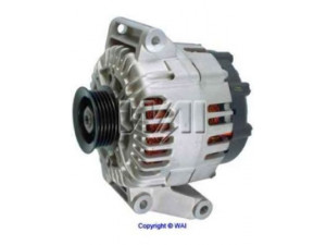 WAIglobal 11259N kintamosios srovės generatorius
15287324, 25948387