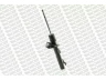 MONROE G16262 amortizatorius 
 Pakaba -> Amortizatorius
1038180, 1040973, 1057606, 1075774