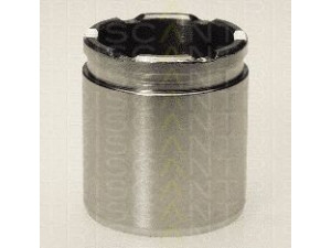 TRISCAN 8170 234212 stūmoklis, stabdžių apkaba