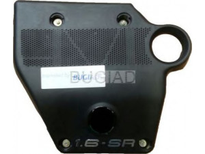 BUGIAD BSP20081 variklio dangtis 
 Variklis -> Variklio dangtis
06A 103 925 AB, 06A 103 925 DN