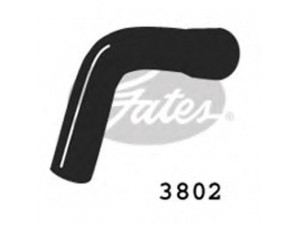 GATES 3802 radiatoriaus žarna 
 Aušinimo sistema -> Žarnelės/vamzdeliai/sujungimai -> Radiatoriaus žarnos
7700752986
