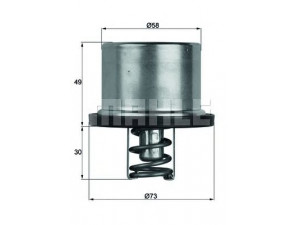 BEHR TX 37 79 termostatas, aušinimo skystis 
 Aušinimo sistema -> Termostatas/tarpiklis -> Thermostat
11 53 7 835 558, 1153 1 315 063