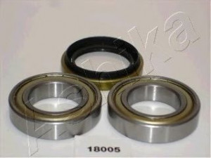 ASHIKA 44-18005 rato guolio komplektas 
 Ašies montavimas/vairavimo mechanizmas/ratai -> Rato stebulė/montavimas -> Rato guolis
0918035005, 0926235012, 0926235032