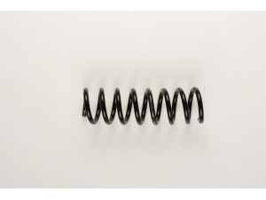 BILSTEIN 36-159451 spyruoklė 
 Pakaba -> Spyruoklės
202 324 22 04