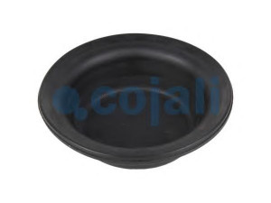 COJALI 6001107 membrana, spyruoklinis cilindras