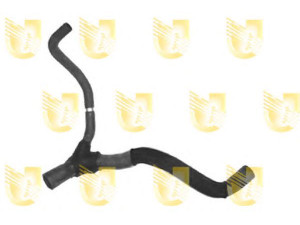 UNIGOM R4450 radiatoriaus žarna
8200027061, 8200098613