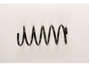 BILSTEIN 36-134021 spyruoklė 
 Pakaba -> Spyruoklės
90 538 931