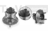 TREVI AUTOMOTIVE WB2237 rato guolio komplektas 
 Ašies montavimas/vairavimo mechanizmas/ratai -> Rato stebulė/montavimas -> Rato guolis
4355030010