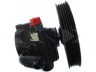 SPIDAN 53704 hidraulinis siurblys, vairo sistema 
 Vairavimas -> Vairo pavara/siurblys
MR166183