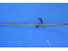 PARTS-MALL PTB-183 trosas, stovėjimo stabdys 
 Stabdžių sistema -> Valdymo svirtys/trosai
599124E000