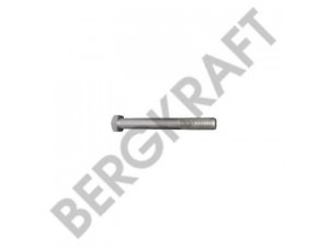 BERGKRAFT BK29971021SP lingės varžtas
50 10 567 399, 5010567399