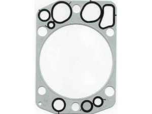 ELRING 451.690 tarpiklis, cilindro galva 
 Variklis -> Tarpikliai -> Tarpiklis, cilindrų galvutė
51.03901.0356