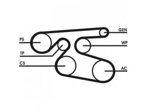 CONTITECH 7PK2000 V formos rumbuoti diržai 
 Techninės priežiūros dalys -> Techninės priežiūros intervalai
A0029934696, 1172000Q1J, 4434866