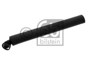FEBI BILSTEIN 36730 žarna, karterio alsuoklis 
 Variklis -> Karteris -> Alsuoklis
11 15 7 532 629