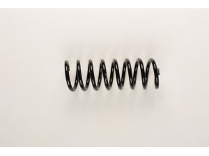 BILSTEIN 36-197972 spyruoklė 
 Pakaba -> Spyruoklės
8200 708 061