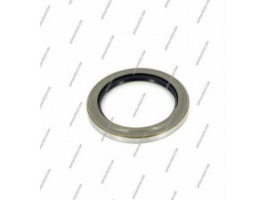 NPS T470A43B rato guolio komplektas
9031170011