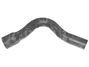 FARE SA 7460 radiatoriaus žarna 
 Aušinimo sistema -> Žarnelės/vamzdeliai/sujungimai -> Radiatoriaus žarnos
1343N7, 96089334, 1343N7, 96089334