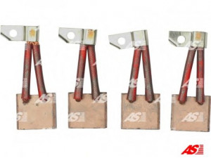 AS-PL MASX23-24 anglies šepetėlis, starteris
62165801