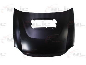 BLIC 6803-00-6731281P gaubtas 
 Kėbulas -> Transporto priemonės galas -> Gaubtas/dalys/garso izoliacinė medžiaga
57229FE020, 57229FE021