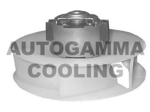 AUTOGAMMA GA20150 vidaus pūtiklis 
 Šildymas / vėdinimas -> Orpūtė/dalys
5930748