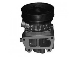 MAGNETI MARELLI 352316170353 vandens siurblys
120196