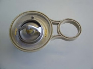 WAHLER 410263.91D termostatas, aušinimo skystis 
 Aušinimo sistema -> Termostatas/tarpiklis -> Thermostat
11 53 1 485 847, 11 53 1 501 173