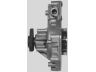 OPEN PARTS WAP8163.00 vandens siurblys 
 Aušinimo sistema -> Vandens siurblys/tarpiklis -> Vandens siurblys
7701466788
