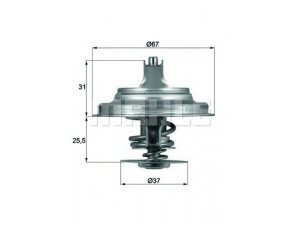 MAHLE ORIGINAL TX 25 71D termostatas, aušinimo skystis 
 Aušinimo sistema -> Termostatas/tarpiklis -> Thermostat