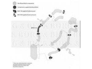 BORG & BECK BTH1114 kompresoriaus padavimo žarna 
 Išmetimo sistema -> Turbokompresorius
6Q0145834, 6Q0145834, 6Q0145834