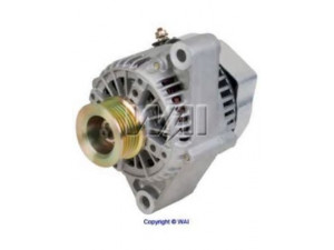 WAIglobal 13858N kintamosios srovės generatorius
270600F010