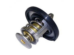 ALLMAKES 55111016AC termostatas, aušinimo skystis 
 Aušinimo sistema -> Termostatas/tarpiklis -> Thermostat