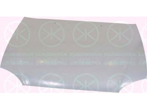 KLOKKERHOLM 3154281A1 gaubtas 
 Kėbulas -> Transporto priemonės priekis -> Gaubtas/dalys/garso izoliacinė medžiaga
66400-22250, 66400-22520