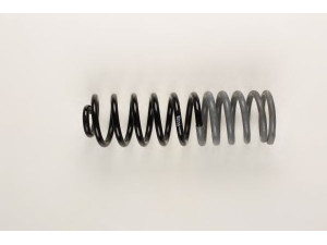 BILSTEIN 36-130924 spyruoklė 
 Pakaba -> Spyruoklės
3A9 511 105