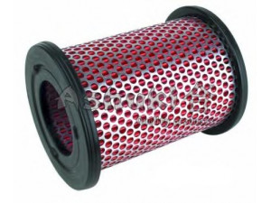 ASHUKI N002-24 oro filtras 
 Techninės priežiūros dalys -> Techninės priežiūros intervalai
16546-2S600, 16546-2S602, 20-01-190/ASHIKA