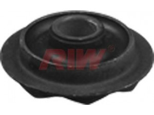 RIW FO11032 valdymo svirties/išilginių svirčių įvorė 
 Ašies montavimas/vairavimo mechanizmas/ratai -> Valdymo svirtis/pasukamosios svirties sujungimas -> Montavimas/sutvirtinimas
1 656 752, 6 144 628, 85GB5493AB