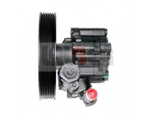 LAUBER 55.0336 hidraulinis siurblys, vairo sistema 
 Vairavimas -> Vairo pavara/siurblys
4007.A5, 9624659580