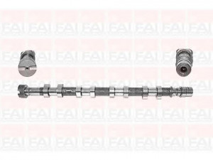 FAI AutoParts C257 skirstomasis velenas 
 Variklis -> Variklio uždegimo laiko reguliavimo kontrolė -> Skirstomasis velenas
1302000QAC, 506072, 8200019183