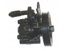 LIZARTE 04.75.0102 hidraulinis siurblys, vairo sistema 
 Vairavimas -> Vairo pavara/siurblys
49110-70N00, 49110-76J00