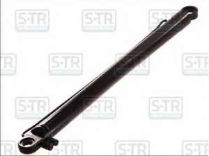 S-TR TEQ-03.056 posvyrio cilindras, vairuotojo kabina
98427951