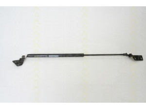 TRISCAN 8710 69223 dujinė spyruoklė, bagažinė 
 Priedai -> Bagažinė/pakrovimo skyrius
81850-54G00-000, 81850-54G01-000
