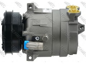 TEAMEC 8600095 kompresorius, oro kondicionierius 
 Oro kondicionavimas -> Kompresorius/dalys
46525369, 55192057, 46525369, 55192057