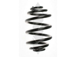 SPIDAN 48072 spyruoklė 
 Pakaba -> Spyruoklės
33 53 1 128 321-323