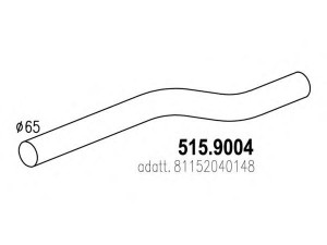 ASSO 515.9004 išleidimo kolektorius
81152040148