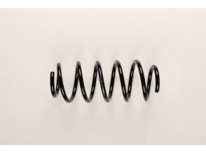 BILSTEIN 37-148119 spyruoklė 
 Pakaba -> Spyruoklės
1K0 411 105 EJ, 1K0 411 105 EK