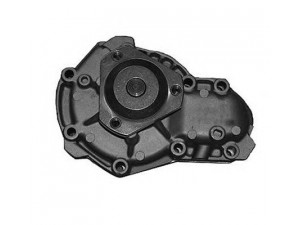 MAGNETI MARELLI 352316170993 vandens siurblys 
 Aušinimo sistema -> Vandens siurblys/tarpiklis -> Vandens siurblys
7700599357, 7701465513